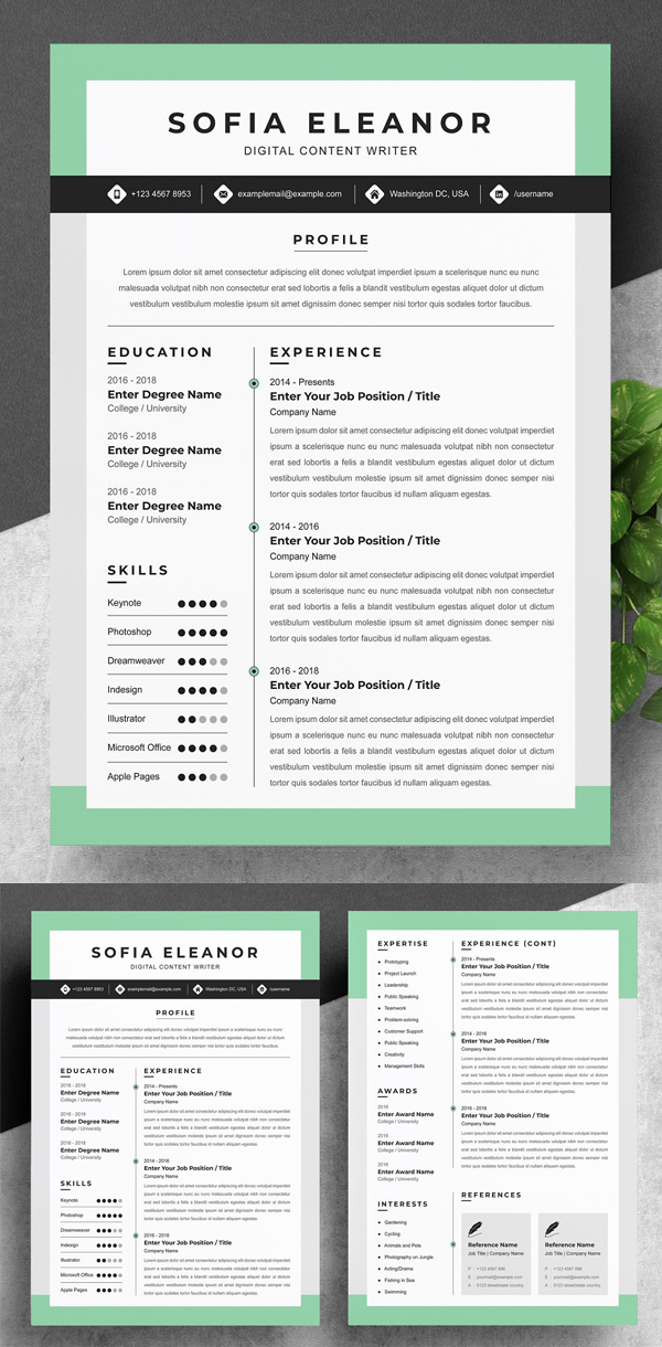 Perfect Creative Resume Template Word