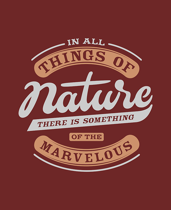 In All Things of Nature - Hand Lettering Quote