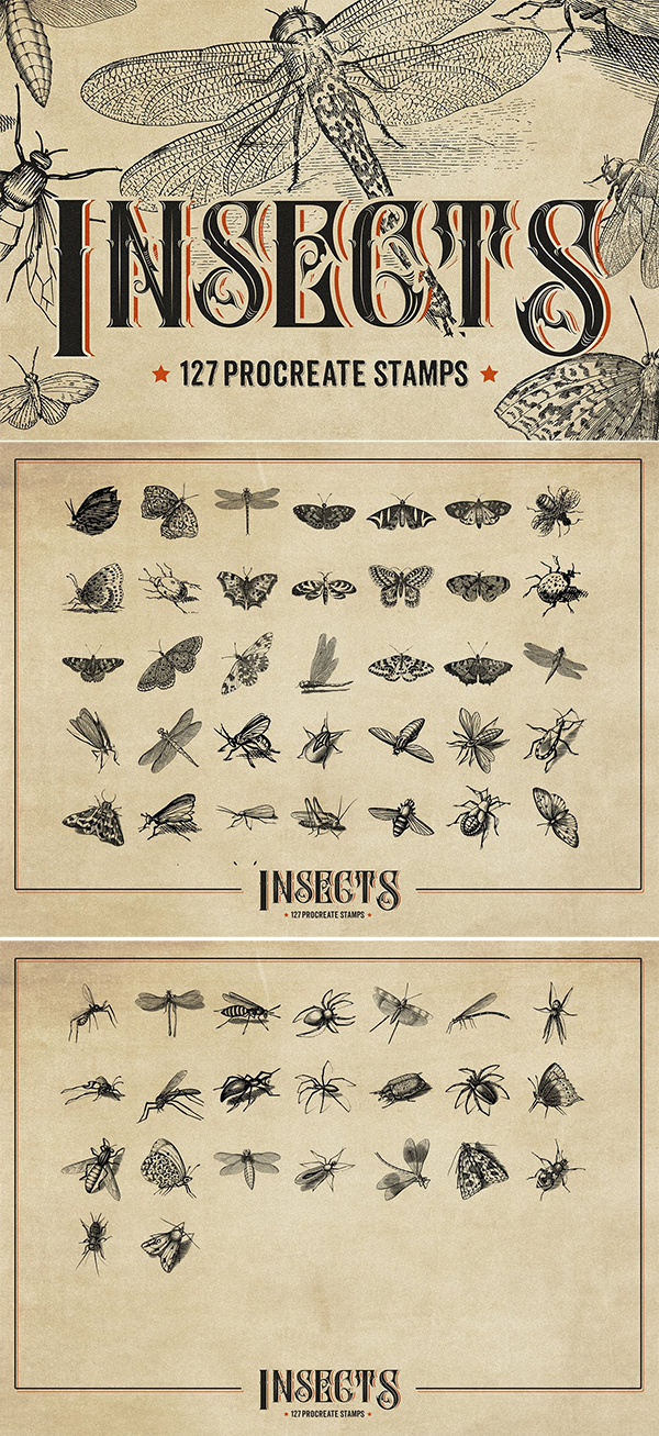 127 Procreate Insects Stems Brushes