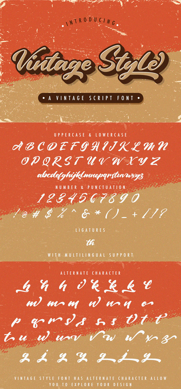 Vintage Style - Bold Script Font