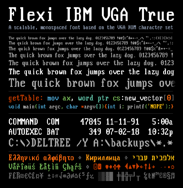 Flexi IBM VGA True Free Font