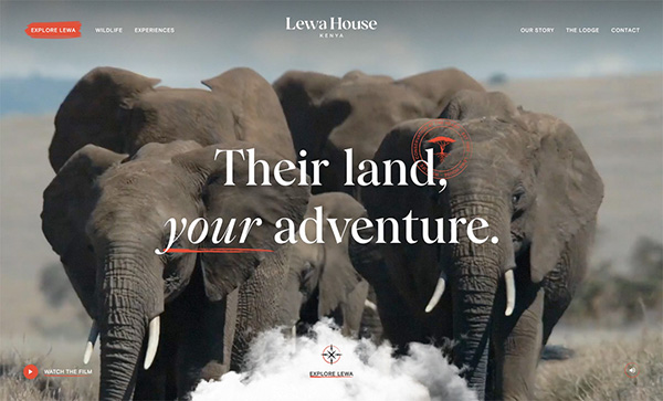 Lewa House - Award Winner Web Design Example - 17