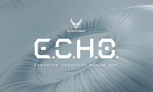 E.C.H.O. - Award Winner Web Design Example - 22