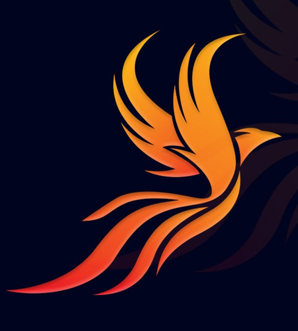 Create a Phoenix Logo Design From a Sketch in Illustrator Tutorials