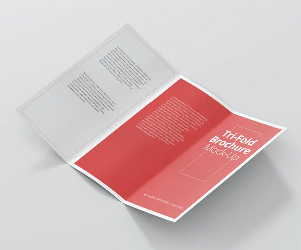 Best Tri-Fold Brochure Mock-Up
