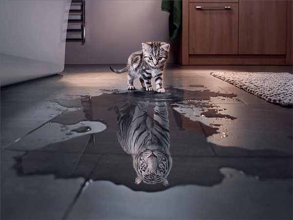 Incredible Photo Manipulations For Inspiration - 6