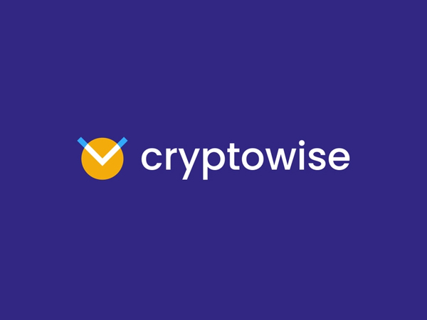 Cryptowise Logo Design