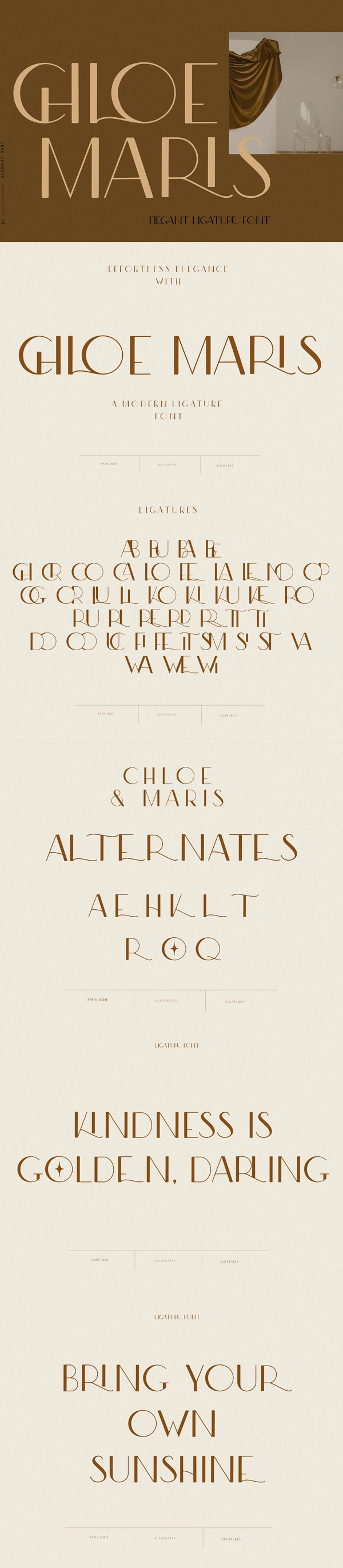 Modern Ligature Sans Serif Font