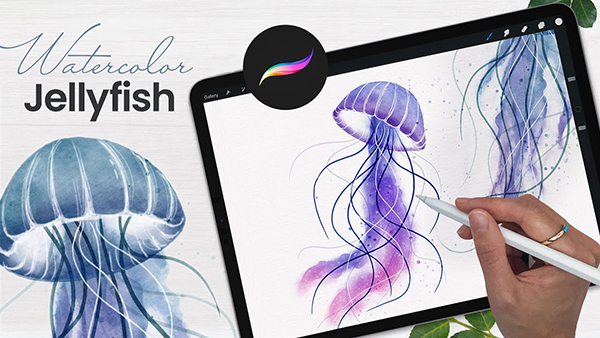 How To Draw Watercolor Jellyfish in Procreate Tutorial
