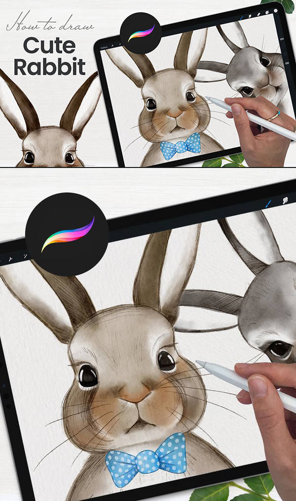 How To Draw Cute Rabbit in Procreate Tutorial