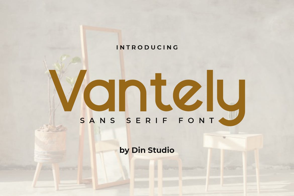 Vantely-Elegant Sans Serif Font Font
