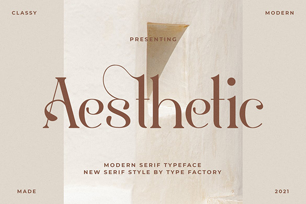 Aestetic Modern Serif Font