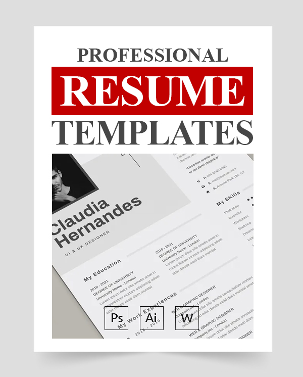 27 Professional CV Resume Templates
