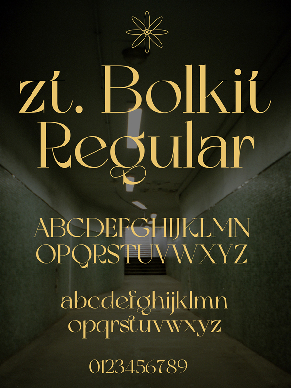 Bolkit Font and Letters