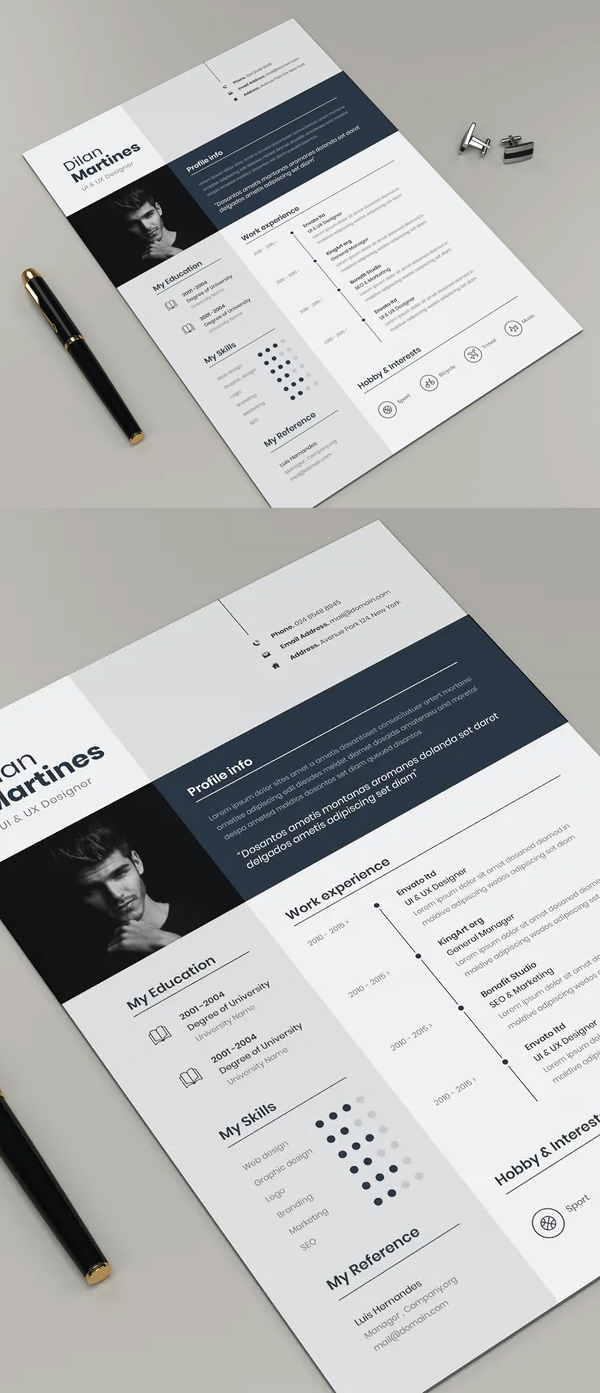 Professional CV and Resume templates