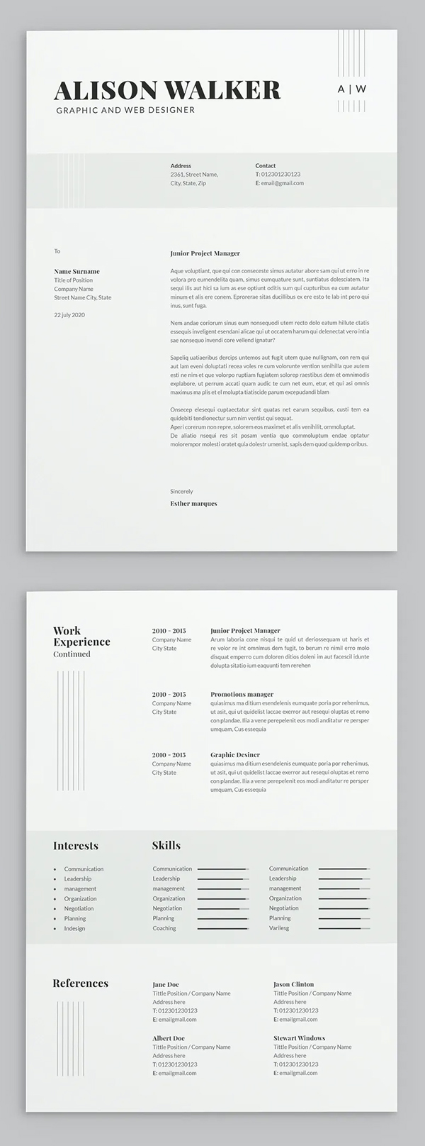 Resume Template Professional