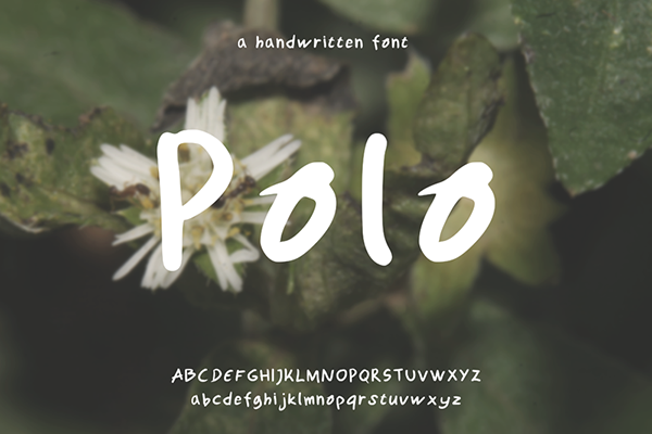 Polo Free Font