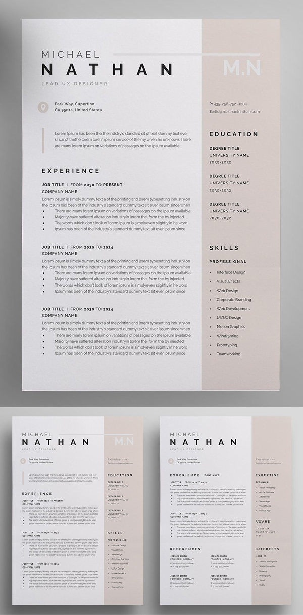 Modern and Professional Resume Template