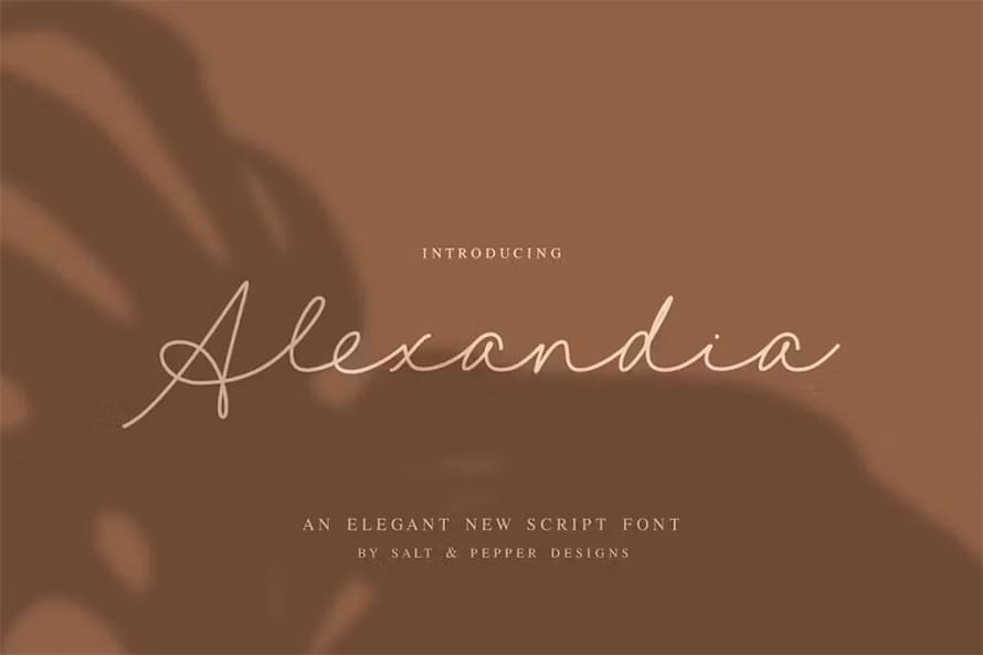 Alexandia Script Font