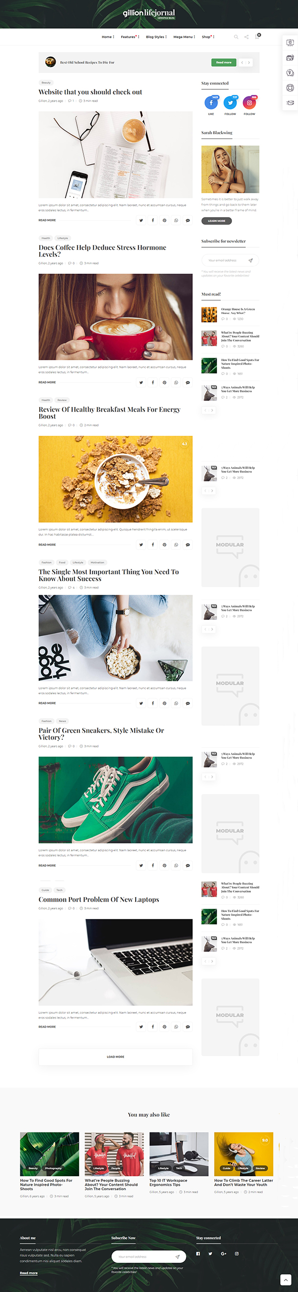 Gillion | Multi-Concept Blog / Magazine & Shop WordPress AMP Theme