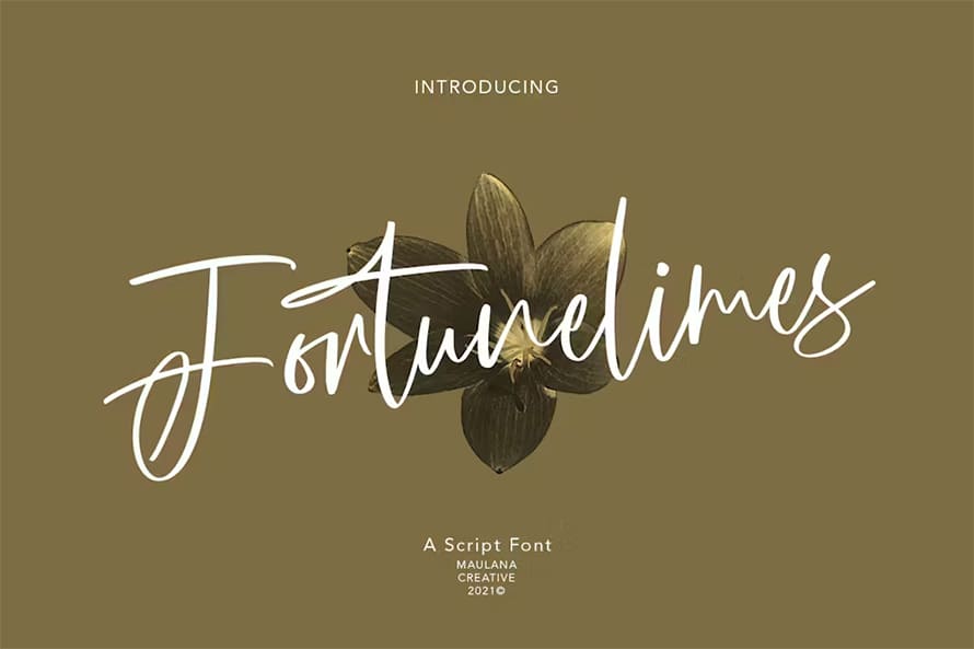 Fortunelimes Script Font
