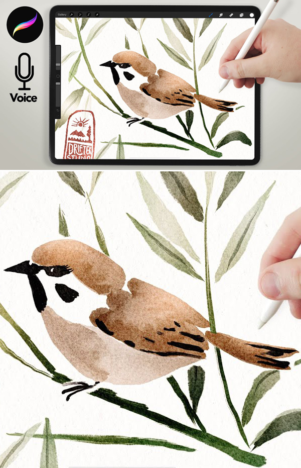 How to Drawing Wabi-sabi Bird Painting Abstact Watercolor in Procreate Tutorial