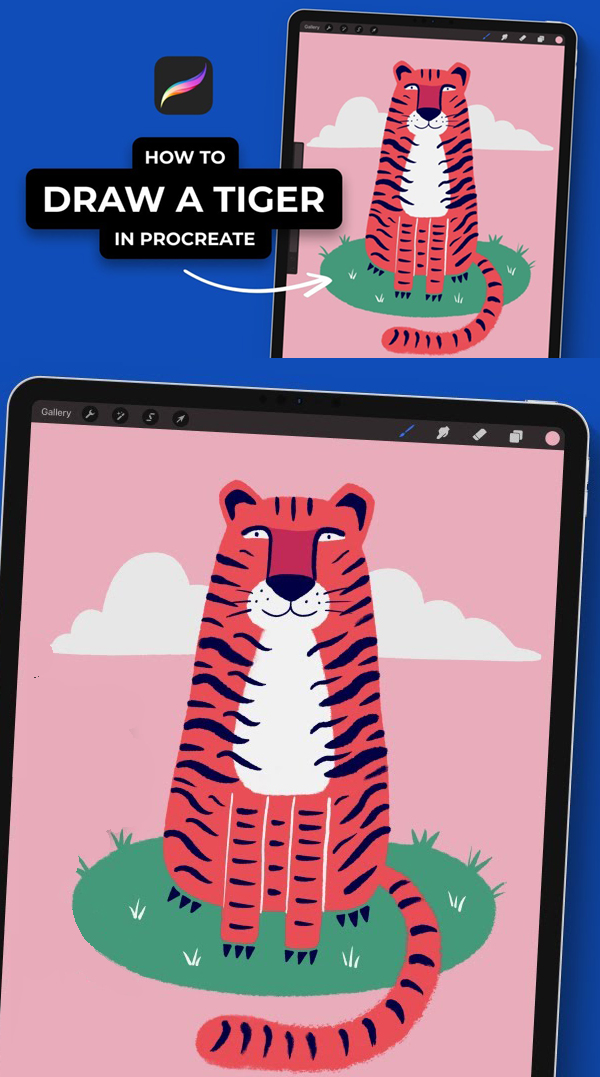 How To Draw A Tiger In Procreate On The iPad 
