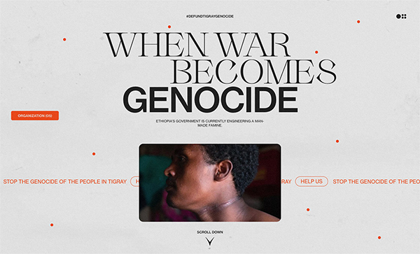 Defund Tigray Genocide Website Design