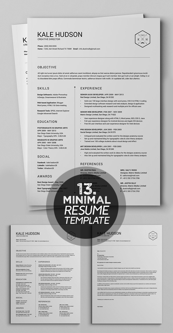 Clean Resume CV - Hudson