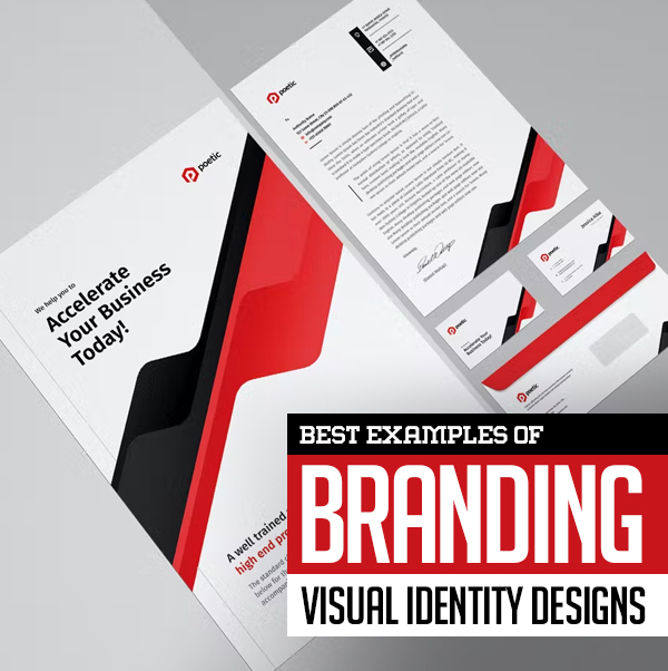 25+ Best Branding Visual Identity Examples