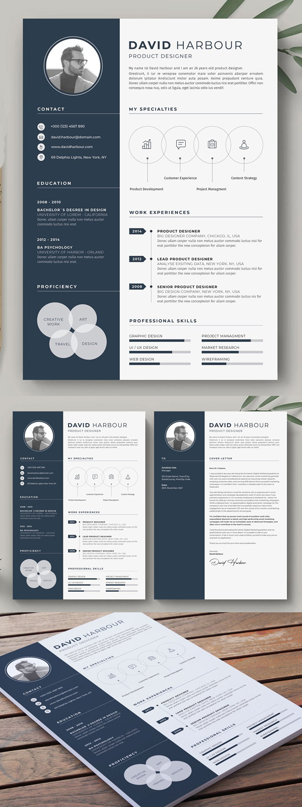 dynamic and professional resume template