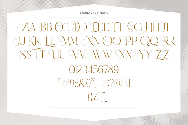 Elegant Stylish Display Serif Font