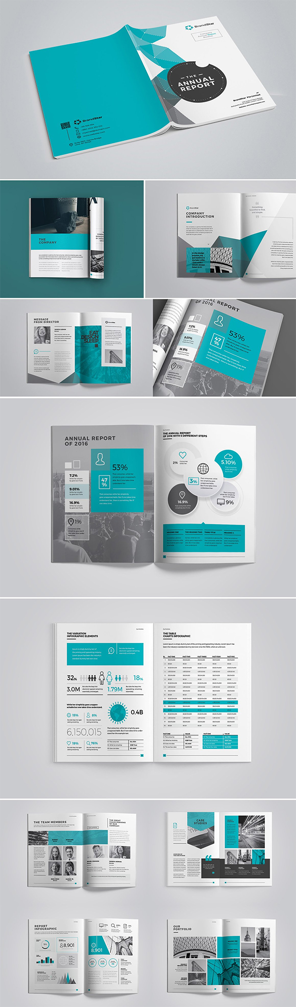 Creative Annual Report / Proposal Brochure