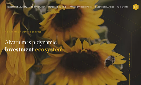 Alvarium Investments - Website Design For Inspiration