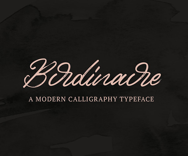 Birdinaire Modern Calligraphy Font