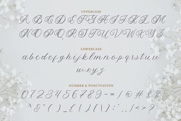Yolitica modern handwritten script font Letter and Numbers