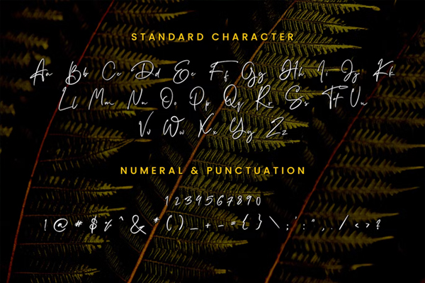 Zoothopia Handwritten Font Letter and Numbers