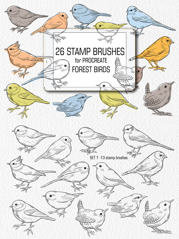 Birds Stamp brushes for Procreate