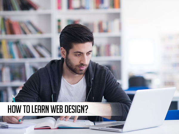 How to Learn Web Design Theory?