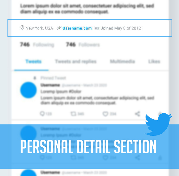 Twitter detail section