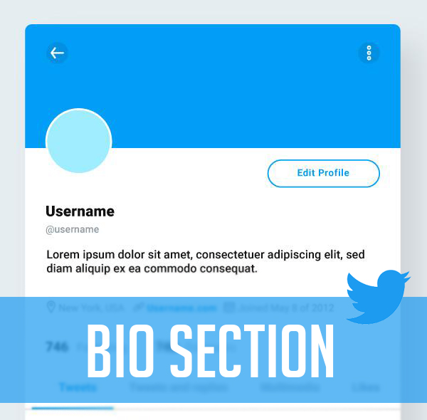 Twitter profile bio section