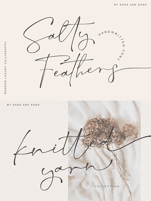 Salty Feathers - Modern Script Font