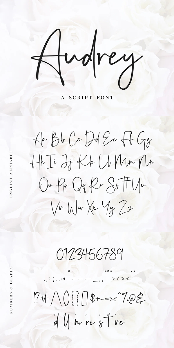 Audrey - A Script Font