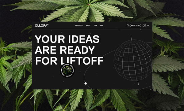 OLLOPA Website Design  - Website Design For Inspiration  