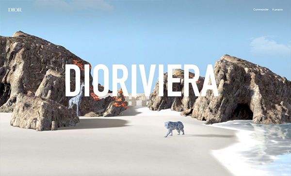 Dioriviera Website Design  - Website Design For Inspiration  