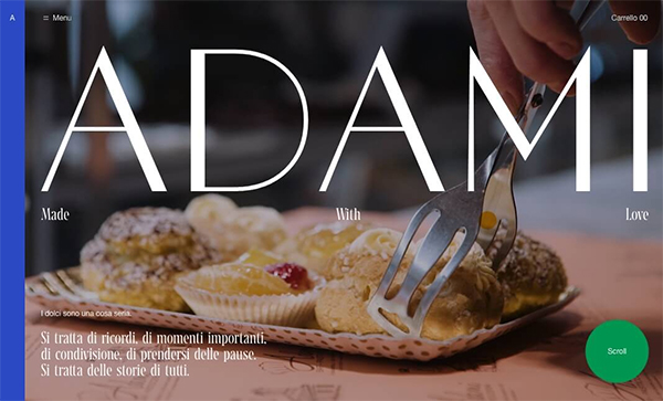 Adami Website Design  - Website Design For Inspiration