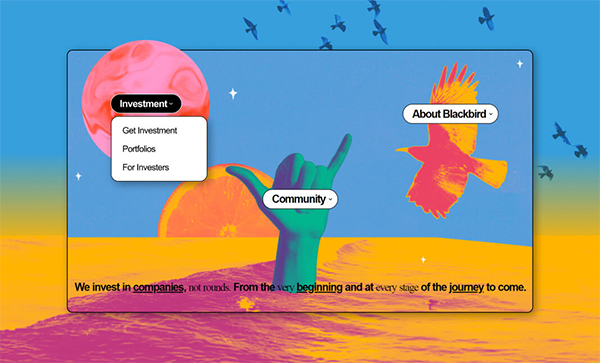 Blackbird Website Design  - Website Design For Inspiration