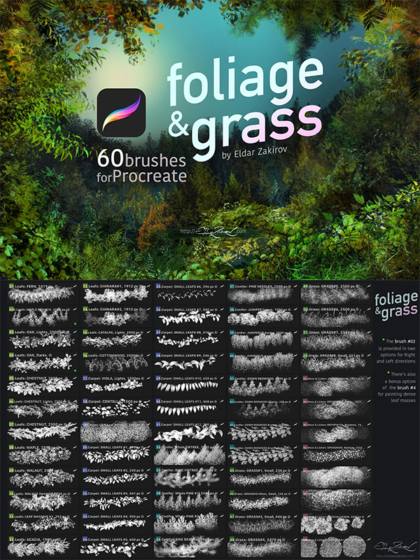 60 Foliage & Grass Procreate Brushes