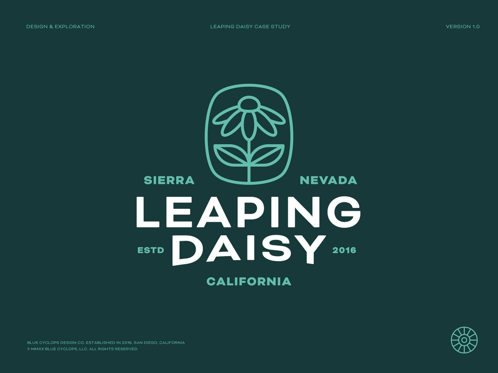 Branding | Leaping Daisy Brand Exploration