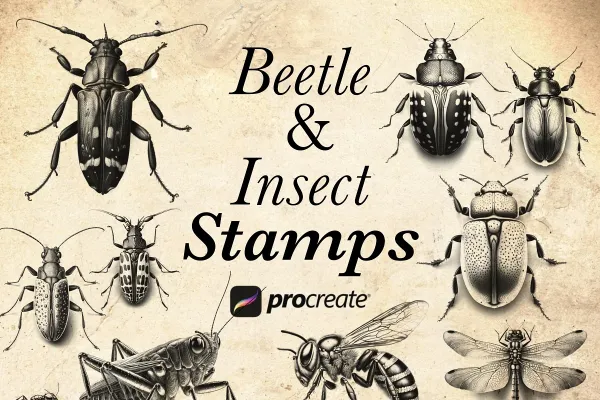 Beetle & Insect Procreate Stamps